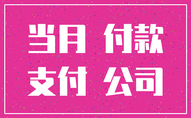 当月 付款_支付 公司