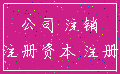 公司 注销_注册资本 注册