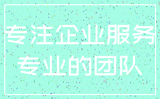专注企业服务_专业的团队