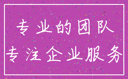 专业的团队_专注企业服务