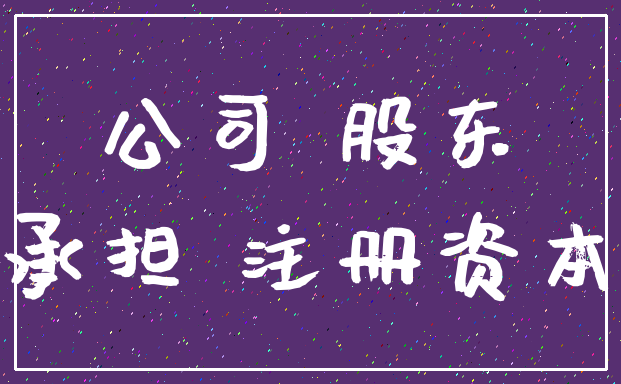 公司 股东_承担 注册资本