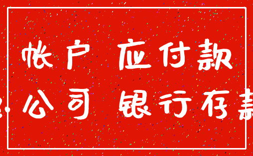 帐户 应付款_总公司 银行存款