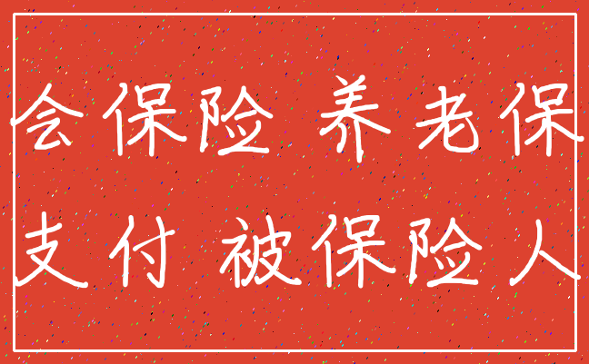社会保险 养老保险_支付 被保险人