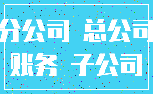 分公司 总公司_账务 子公司