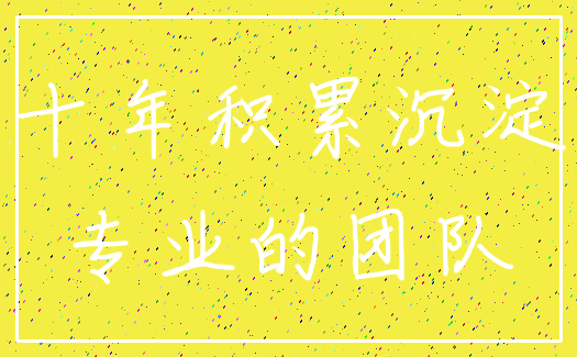 十年积累沉淀_专业的团队
