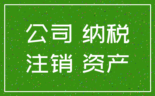 公司 纳税_注销 资产