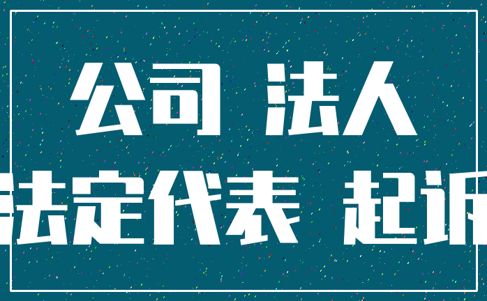 公司 法人_法定代表 起诉