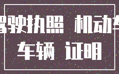 驾驶执照 机动车_车辆 证明