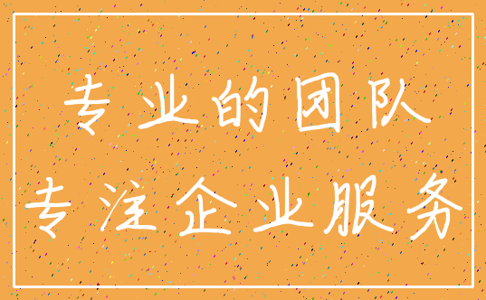 专业的团队_专注企业服务
