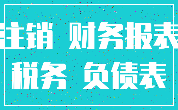 注销 财务报表_税务 负债表