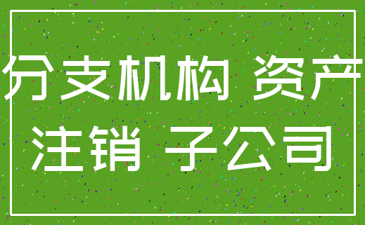分支机构 资产_注销 子公司