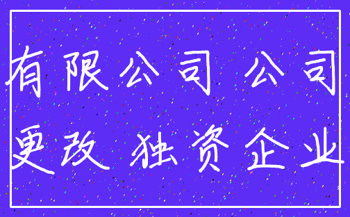 有限公司 公司_更改 独资企业
