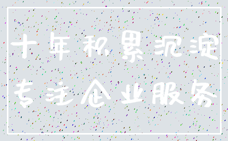 十年积累沉淀_专注企业服务