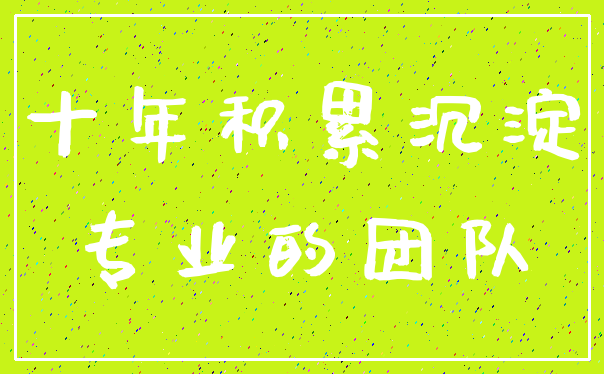 十年积累沉淀_专业的团队