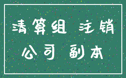 清算组 注销_公司 副本