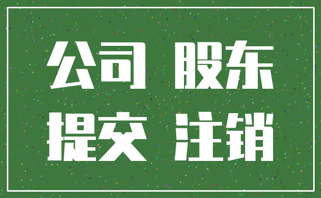 公司 股东_提交 注销