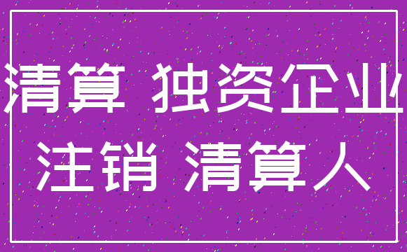 清算 独资企业_注销 清算人