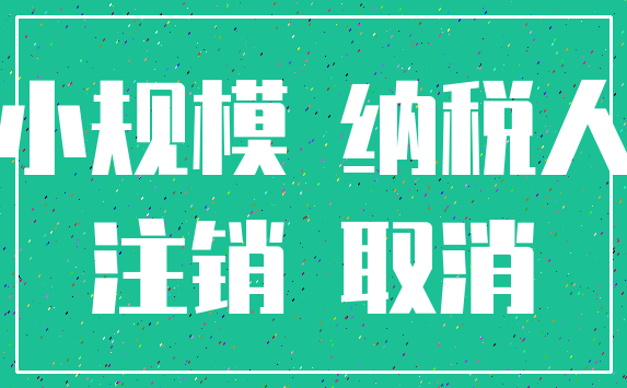 小规模 纳税人_注销 取消