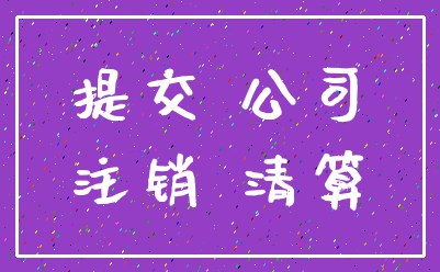提交 公司_注销 清算