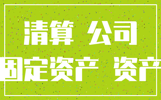 清算 公司_固定资产 资产