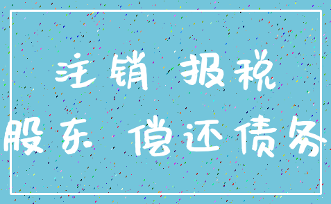 注销 报税_股东 偿还债务