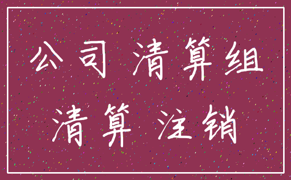 公司 清算组_清算 注销