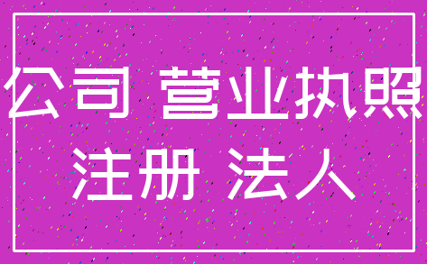 公司 营业执照_注册 法人