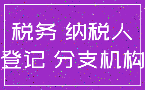 税务 纳税人_登记 分支机构