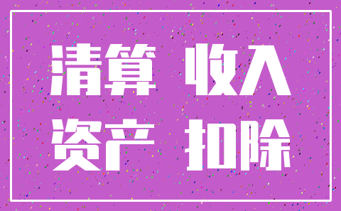 清算 收入_资产 扣除