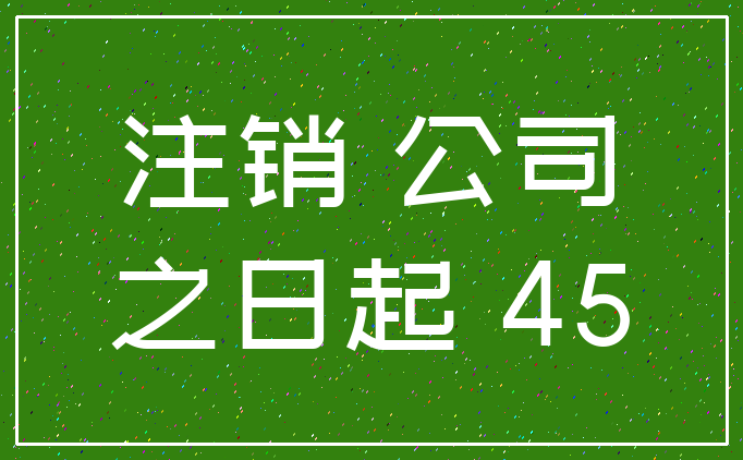 注销 公司_之日起 45