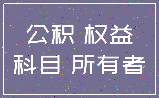 公积 权益_科目 所有者