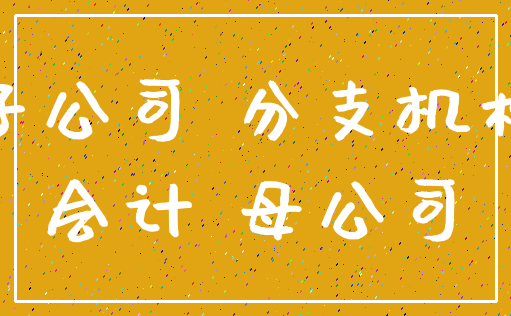 子公司 分支机构_会计 母公司