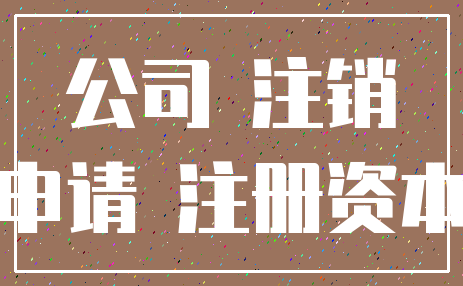 公司 注销_申请 注册资本