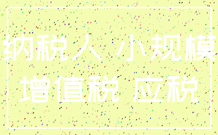 纳税人 小规模_增值税 应税