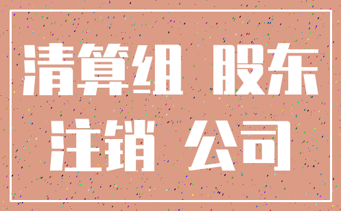 清算组 股东_注销 公司