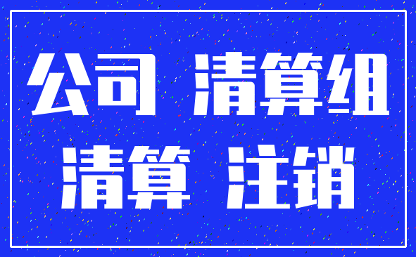 公司 清算组_清算 注销