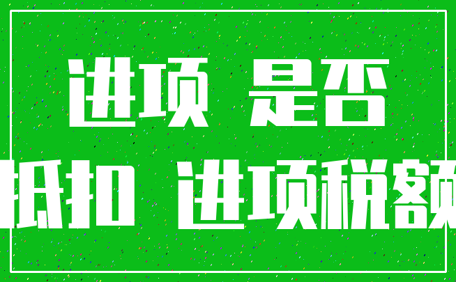 进项 是否_抵扣 进项税额