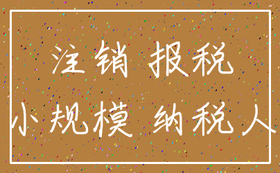 注销 报税_小规模 纳税人