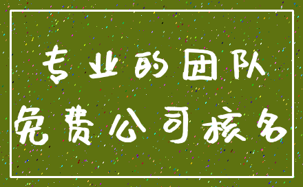 专业的团队_免费公司核名