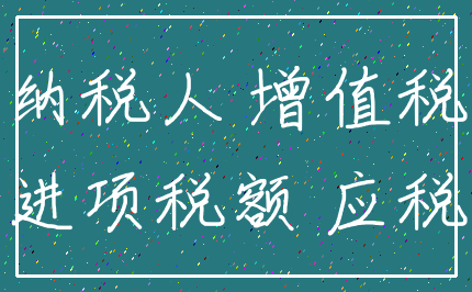 纳税人 增值税_进项税额 应税