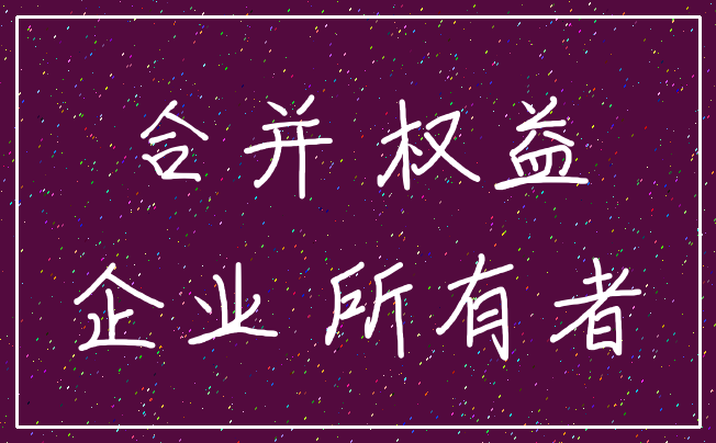 合并 权益_企业 所有者