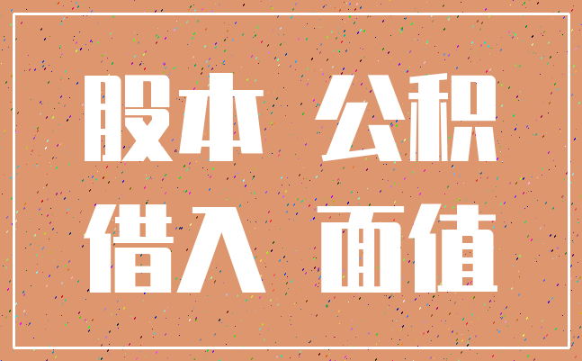 股本 公积_借入 面值