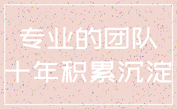 专业的团队_十年积累沉淀