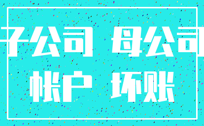 子公司 母公司_帐户 坏账