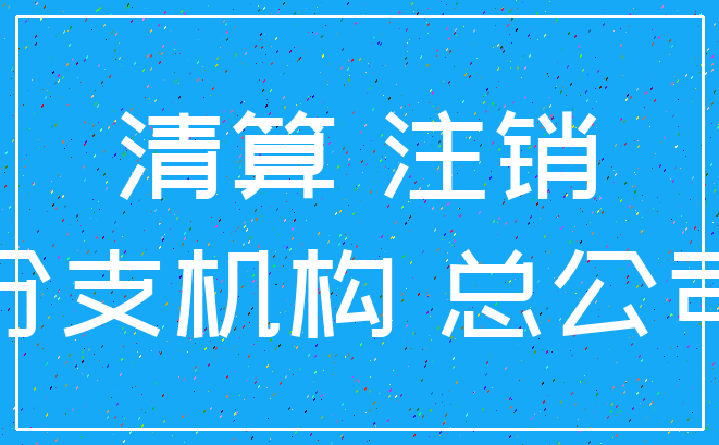 清算 注销_分支机构 总公司
