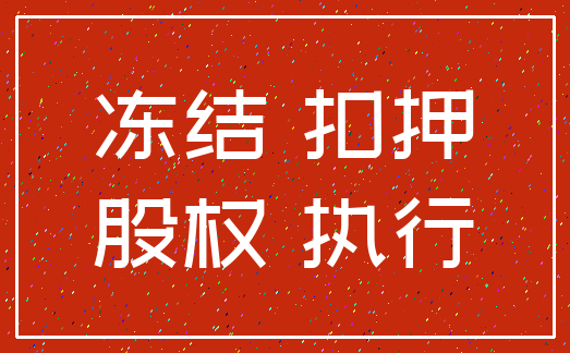冻结 扣押_股权 执行