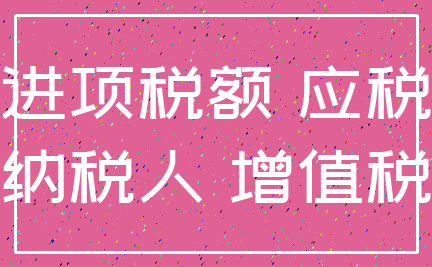 进项税额 应税_纳税人 增值税