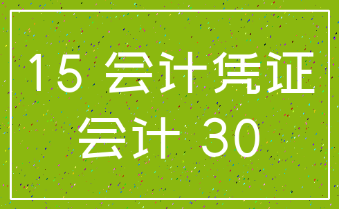 15 会计凭证_会计 30
