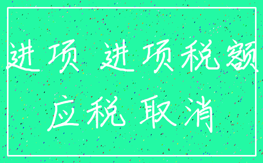 进项 进项税额_应税 取消