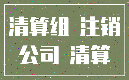 清算组 注销_公司 清算